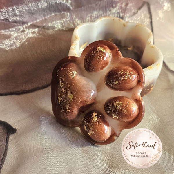 Pfoten Schatulle Epoxidharz handgemacht Dose mit Deckel Tierliebe Unikat